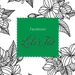 Lili’s Tea Jasmine