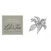Lili's Tea Earl Grey con petali di fiordaliso